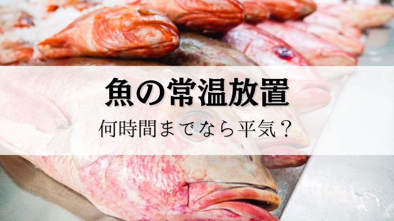 魚の常温放置何時間までなら平気？