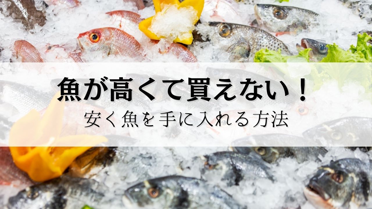 魚が高くて買えない！安く買う方法は？